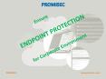 Ensure Endpoint Protection for Corporate Environment in Simple Steps PowerPoint PPT Presentation