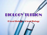 Biology Tuition (1)