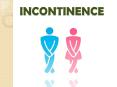 Easyfit adult Diapers, best solution for incontinence PowerPoint PPT Presentation