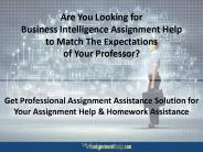 Business Intelligence Assignment Help