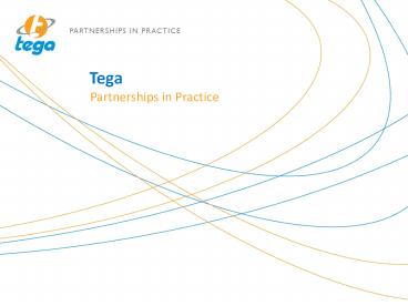Tega Partnerships in Practice