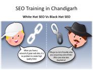 SEO Training in  Chandigarh