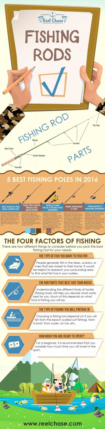 Best Fishing Rods for the Money