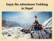 Enjoy the Adventures Trekking in Nepal