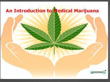 Cannabis Dispensary Los Angeles