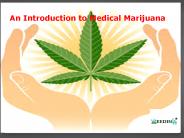 Cannabis Dispensary Los Angeles