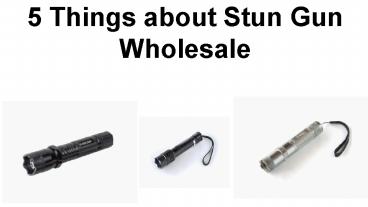5 Things about Stun Gun Wholesale