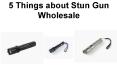 5 Things about Stun Gun Wholesale PowerPoint PPT Presentation