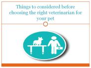Things to Considered Before Choosing the Right Veterinarian For Your Pet