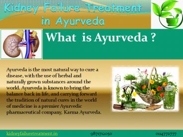 Kidney failure treatment in ayurveda