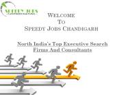 Top Job Consultants in Chandigarh Speedy Jobs