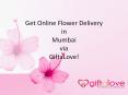 Get Flower Delivery in Mumbai | 8882001155 PowerPoint PPT Presentation