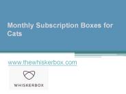 Monthly Subscription Boxes for Cats - www.thewhiskerbox