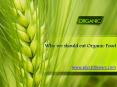 Why we should eat organic food PowerPoint PPT Presentation