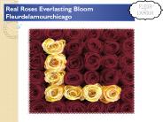 Long lasting roses Chicago