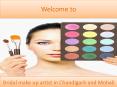 bridal make up artist in panchkula (1)