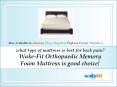 What Type Of Mattress Is Best For Back Pain- Wake-Fit Orthopaedic Memory Foam Mattress Is Good Choice. PowerPoint PPT Presentation