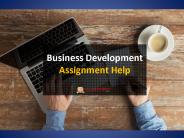Business Development Assignment Help from expert in UK