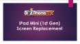 iPad Mini (1st Gen) Screen Replacement