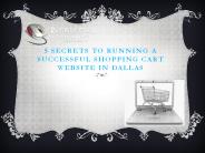 Ecommerce Shopping Website Design in Dallas