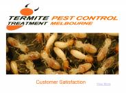 Termite Pest Control Treatment Melbourne
