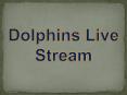Dolphins live stream PowerPoint PPT Presentation