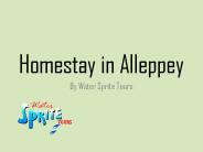 Homestay in Alleppey (2)