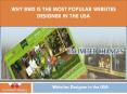 Why BWD Is the Most Popular Websites Designer in the USA PowerPoint PPT Presentation