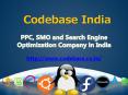 PPC, SMO and Search Engine Optimization Company in India PowerPoint PPT Presentation