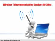 Wireless Telecommunication Services in China