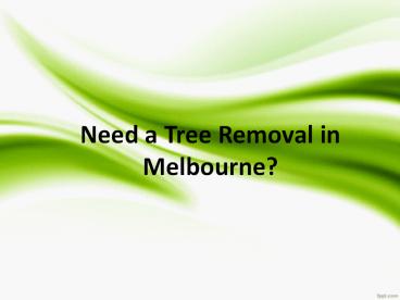 Pro Cut Tree Removal Melbourne