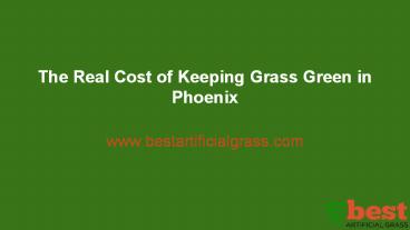 The Real Cost of Keeping Grass Green in Phoenix