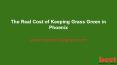 The Real Cost of Keeping Grass Green in Phoenix PowerPoint PPT Presentation