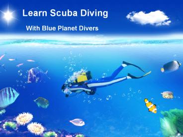 Learn Scuba Diving