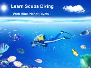 Learn Scuba Diving