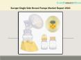 Europe Single Side Breast Pumps Market Report 2016 PowerPoint PPT Presentation