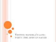 Ron Virmani Visiting mandela’s land- part i -the african safari