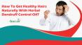 How To Get Healthy Hairs Naturally With Herbal Dandruff Control Oil?