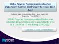 Future Market Trends of Global  Polymer Nanocomposites Market 2022 PowerPoint PPT Presentation