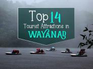 Top 14 Tourist Attractions in Wayanad