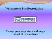 Water Damage Repair Services