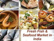 Fresh Fish & Seafood Market in India