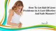 How To Get Rid Of Liver Problems In A Cost-Effective And Safe Manner? PowerPoint PPT Presentation