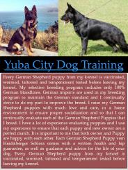 Sacramento Dog Training