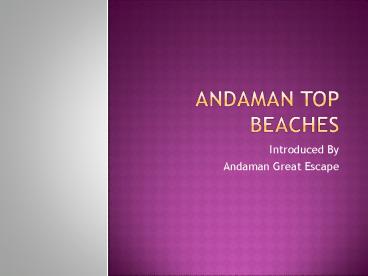 andaman best beaches