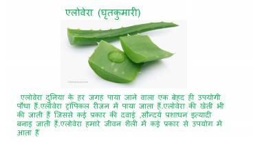 Effective Health Tips