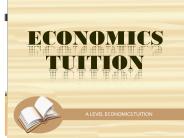 Economics Tuition