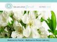 Melbourne Florist – Melbourne flower delivery PowerPoint PPT Presentation