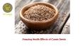 Amazing Health Effects of Cumin Seeds PowerPoint PPT Presentation