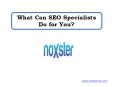What Can SEO Specialists Do for You? PowerPoint PPT Presentation